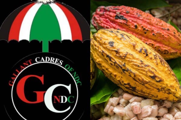 4c90118b 9b82 454d 93ce 0fd028b6560c