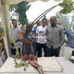 UCC Crop Science Department Unveils Taro Innovation Exhibition to Boost Farming, Business Skills 2 IMG 20260612 WA0023