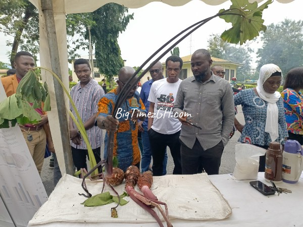 UCC Crop Science Department Unveils Taro Innovation Exhibition to Boost Farming, Business Skills 1 IMG 20260612 WA0023